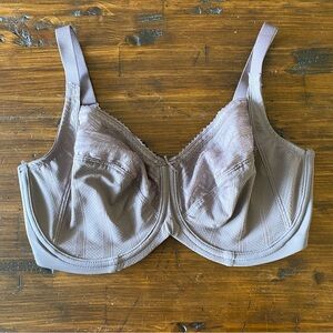 Liyette Women's Adjustable Strap Underwire Back Closure Gray Bra Size: 36DDD